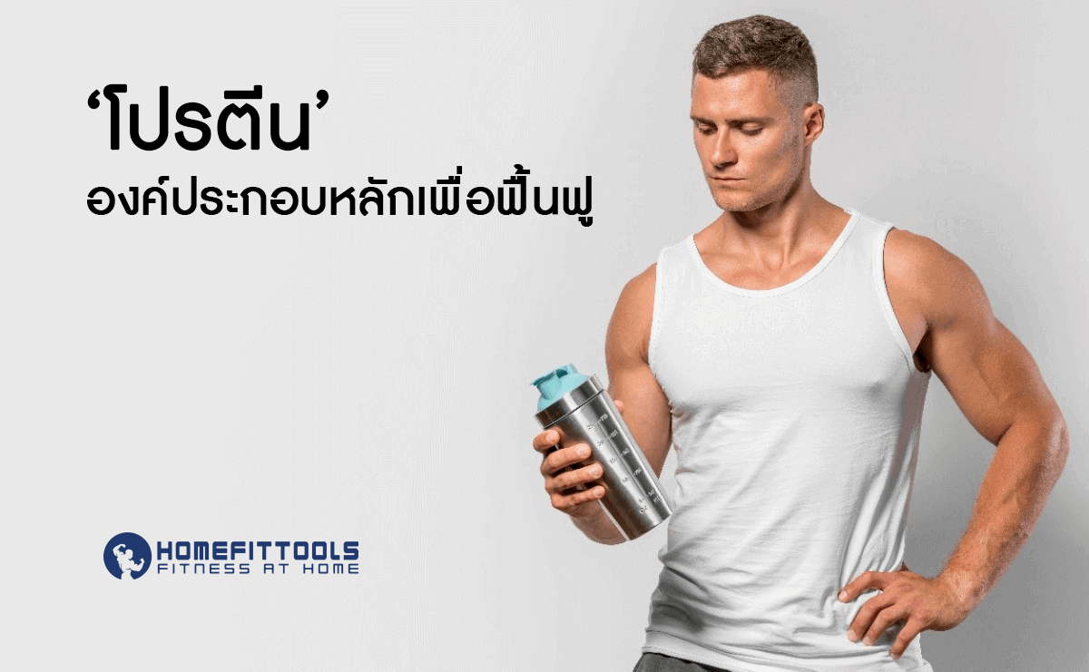 โปรตีนองค์ประกอบหลักเพื่อฟื้นฟู