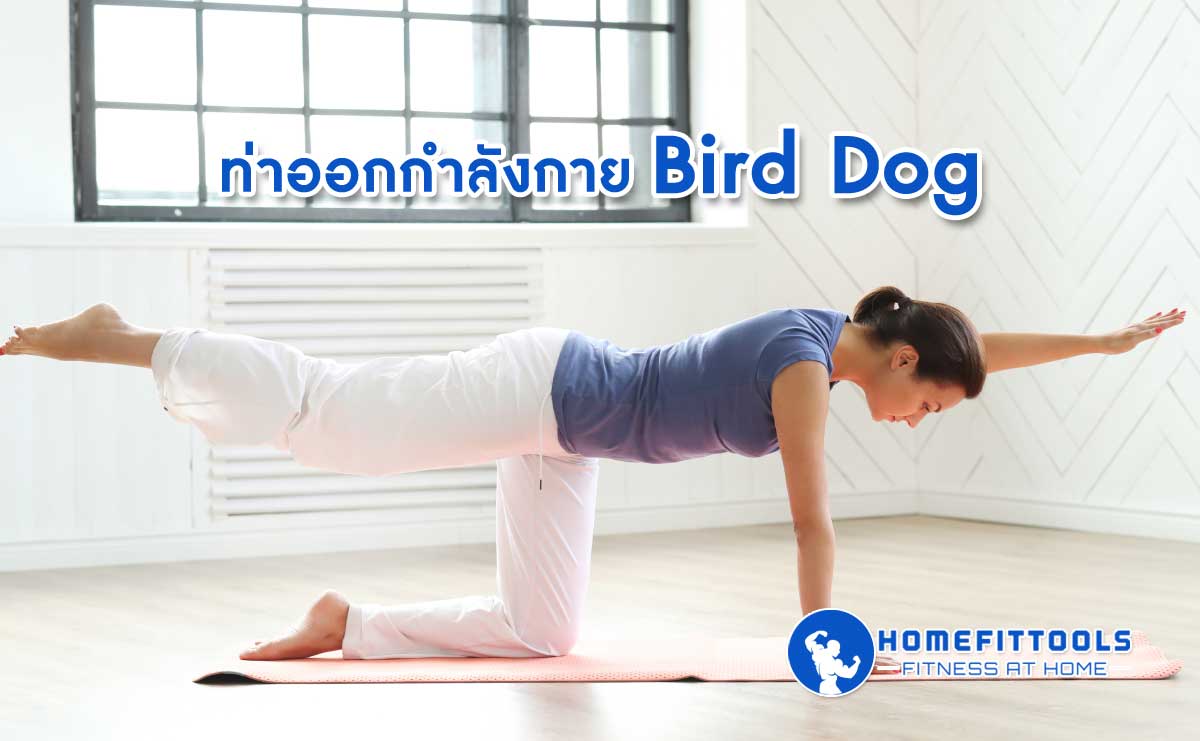 ท่าบริหารกล้ามเนื้อป้องกันออฟฟิศซินโดรม ท่า Bird Dog