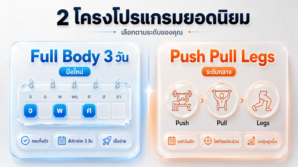 ภาพรวมโปรแกรมเล่น Smith Machine 2 แบบ: Full Body 3 วันสำหรับมือใหม่ และ Push Pull Legs สำหรับระดับกลาง