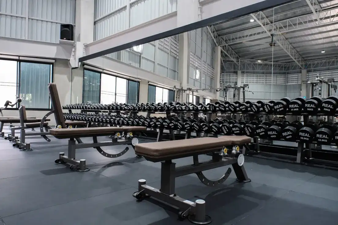 ผลงานของเรา OUR WORK โดย HFT FITNESS EXPERT 3