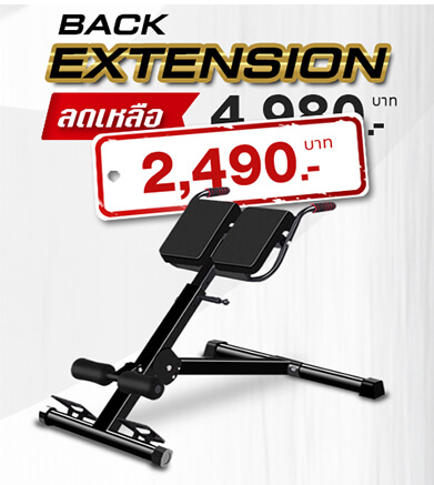 ม้านั่งออกกำลังกาย Back Extension