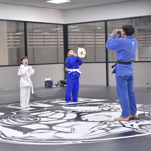 รีวิวเบาะยิวยิตสู1