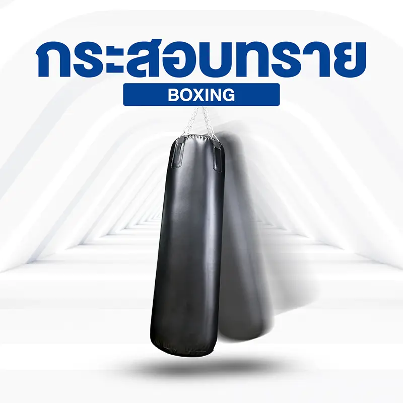 Punching Bag