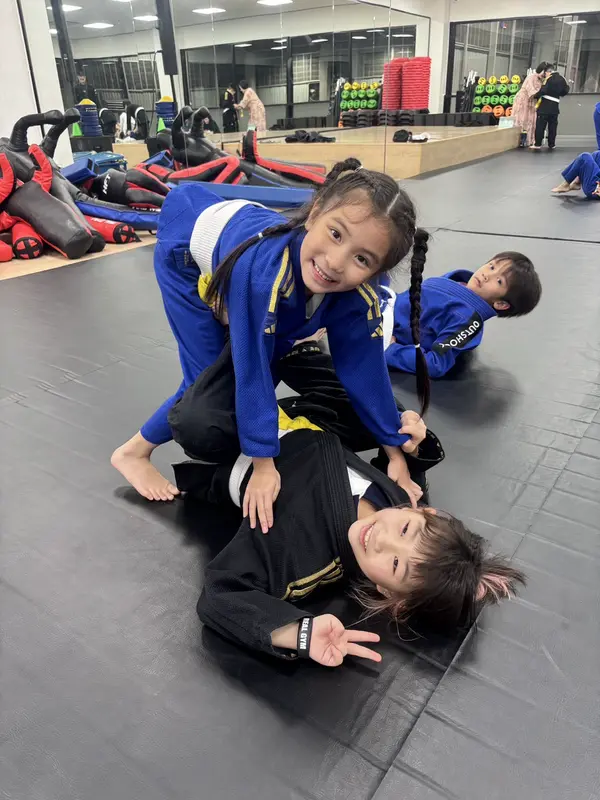 img bjj review 1