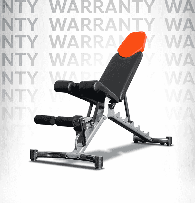 ม้านั่งออกกำลังกาย