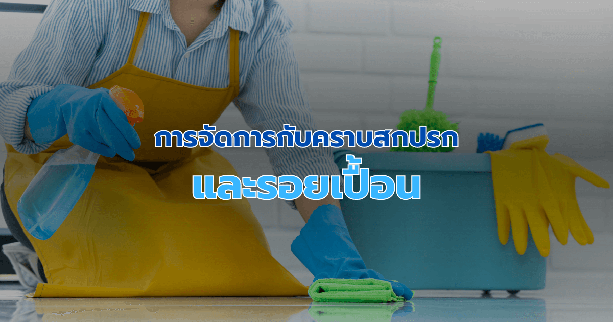การจัดการกับคราบสกปรกและรอยเปื้อน