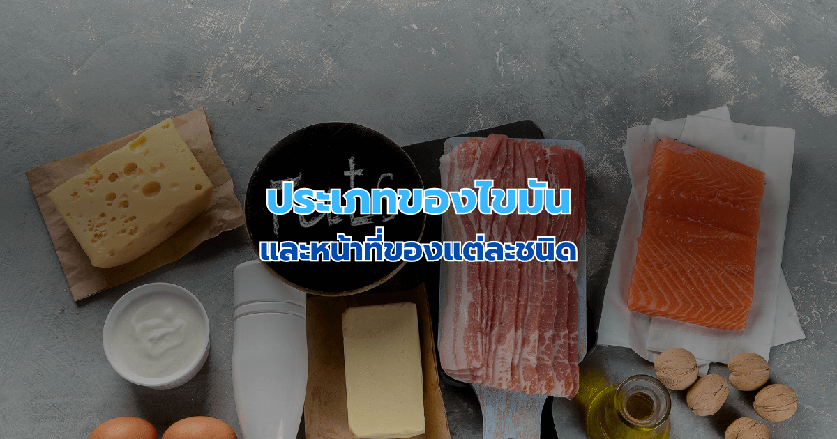 ประเภทของไขมันและหน้าที่ของแต่ละชนิด