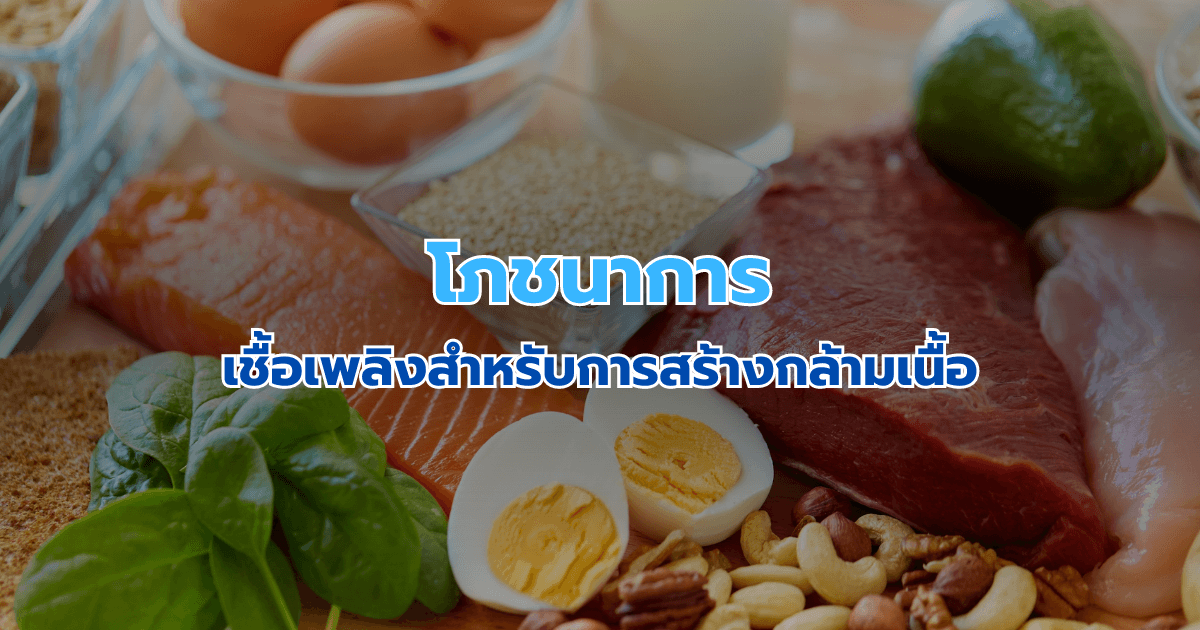 โภชนาการ: เชื้อเพลิงสำหรับการสร้างกล้ามเนื้อ