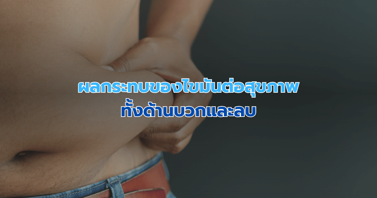 ผลกระทบของไขมันต่อสุขภาพ ทั้งด้านบวกและลบ