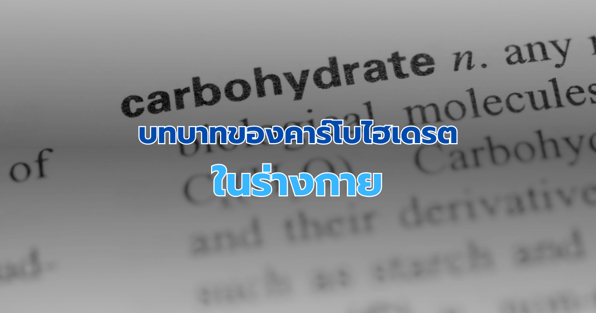 บทบาทของคาร์โบไฮเดรตในร่างกาย