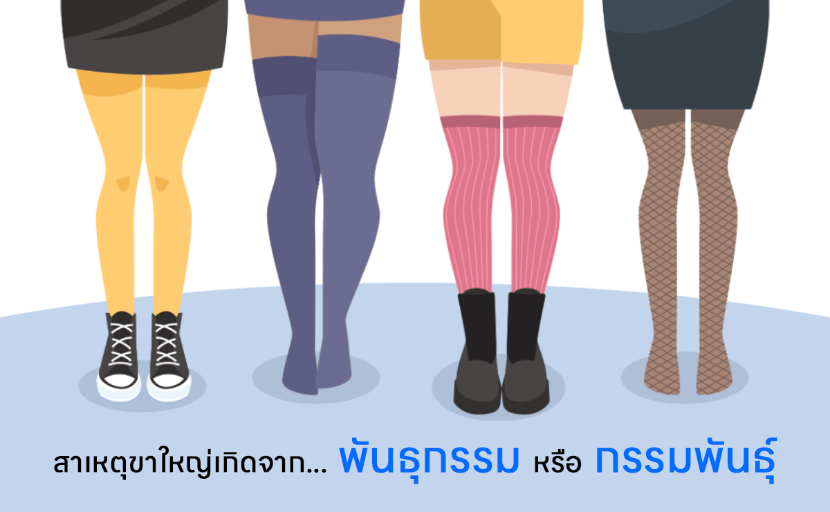 ขาใหญ่จากพันธุกรรมวิธีลดต้นขาให้เล็กลงภายใน 1 อาทิตย์