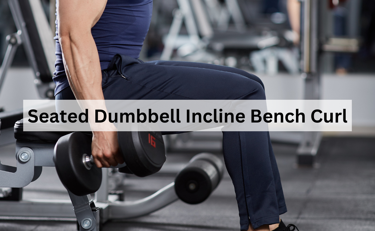 Seated Dumbbell Incline Bench Curl: เพิ่มมิติและความชัดเจนของกล้ามเนื้อ ...
