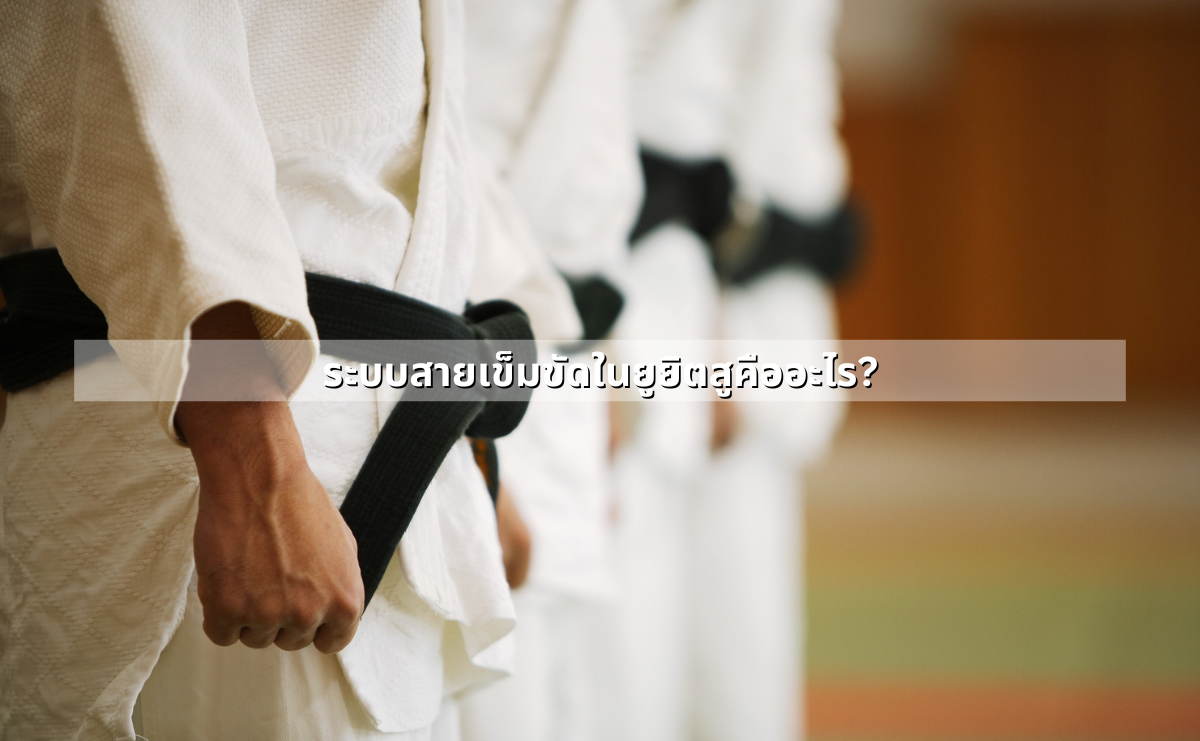 ระบบสายเข็มขัดในยูยิตสูคืออะไร?