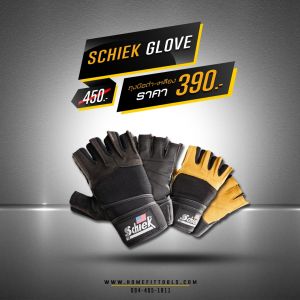 Schiek gloves top