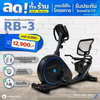 Recumbent Bike RB3
