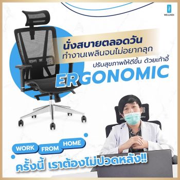 เก้าอี้สุขภาพ เก้าอี้ทำงาน เก้าอี้สำนักงาน เพื่อสุขภาพ Ergonomic - Ergohome-ม้านั่ง