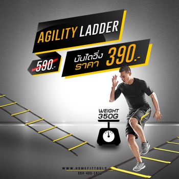 Agility ladder