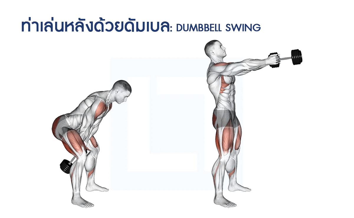 ท่าเล่นหลังด้วยดัมเบล