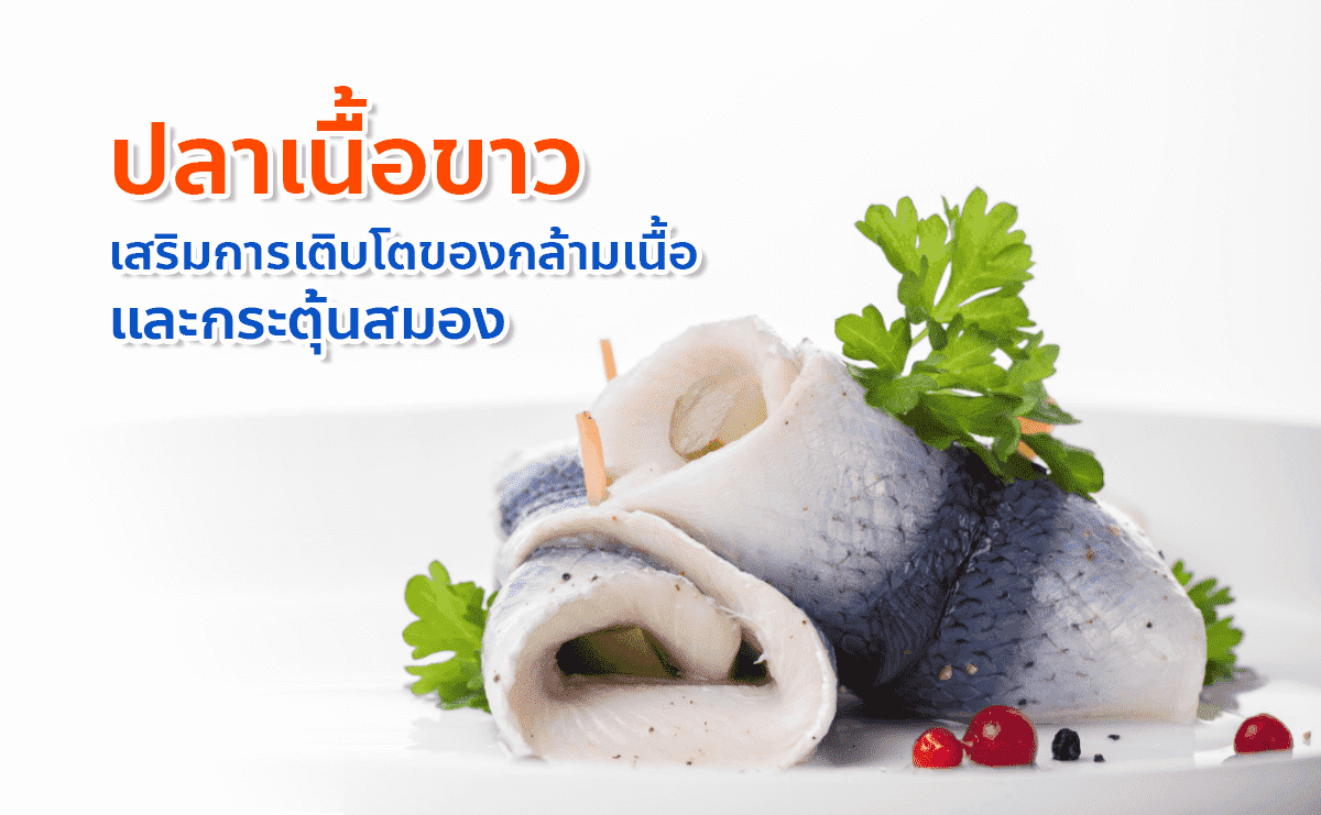 ปลาเนื้อขาว เสริมการเติมโตของกล้ามเนื้อและกระตุ้นสมอง