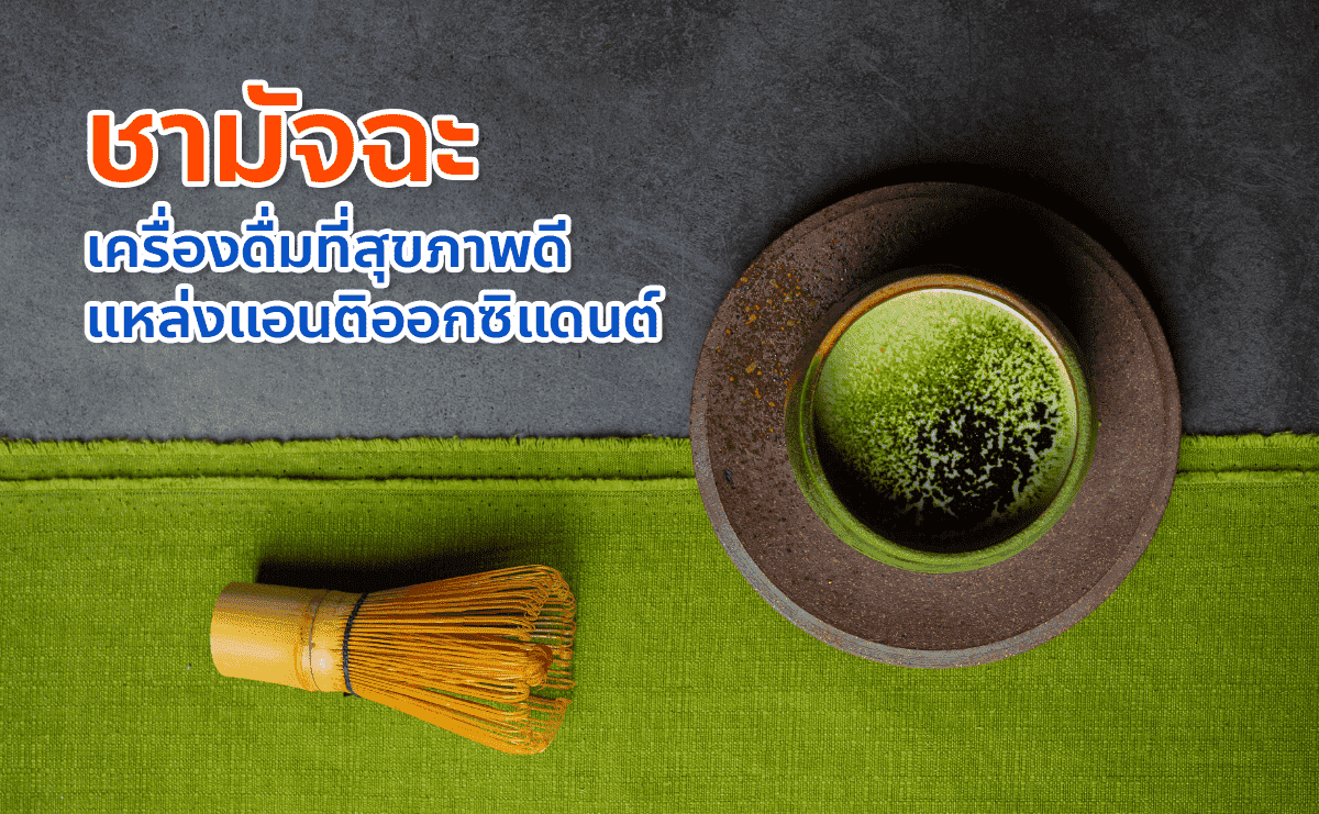 มัจฉะ เครื่องดื่มที่สุขภาพดี แหล่งแอนติออกซิแดนต์