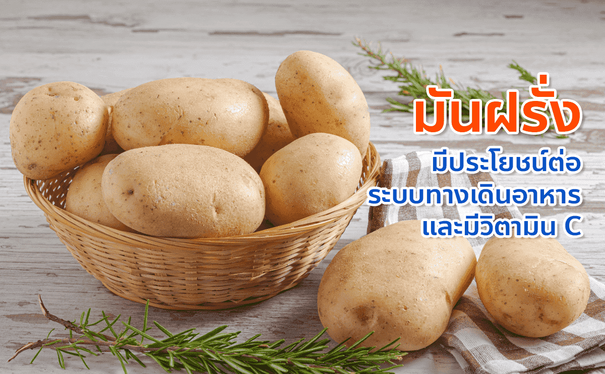 มันฝรั่ง มีประโยชน์ต่อระบบทางเดินอาหารและวิตามินซี