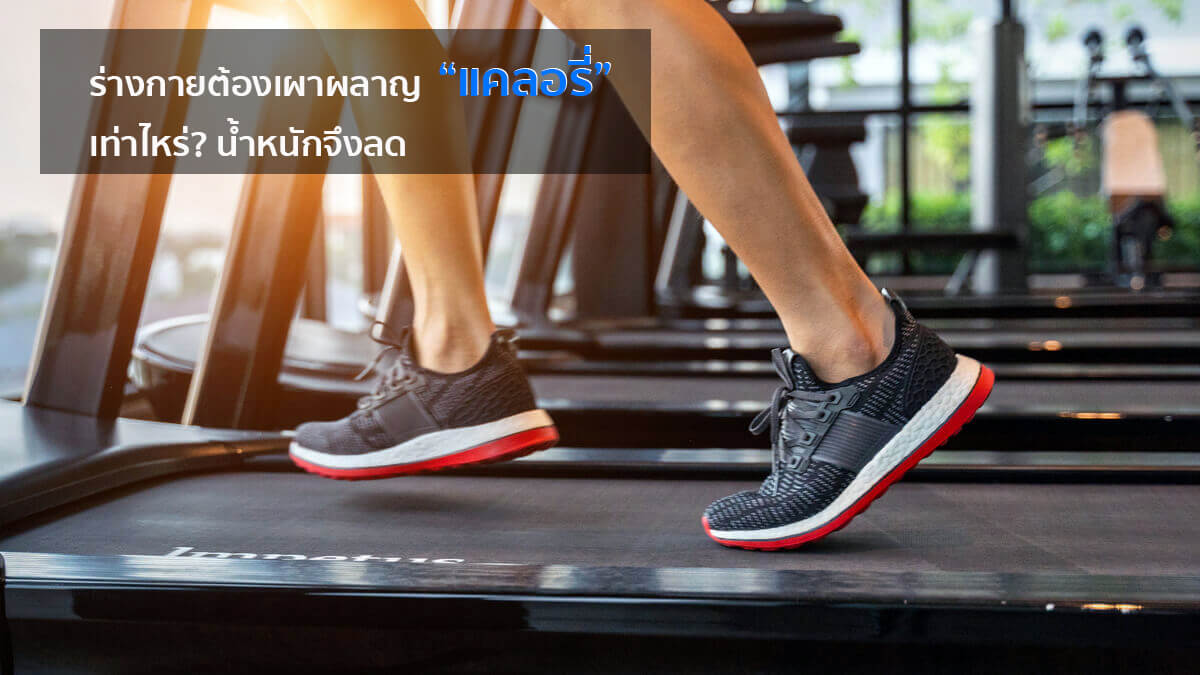 น้ำหนักด้วยลู่วิ่งไฟฟ้า