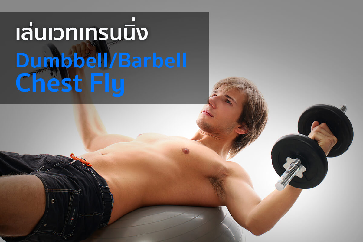 เล่นเวทเทรนนิ่ง (Weight Training) ลดไขมัน แนะนำท่าเพิ่มกล้ามเนื้อแบบ Full  Body