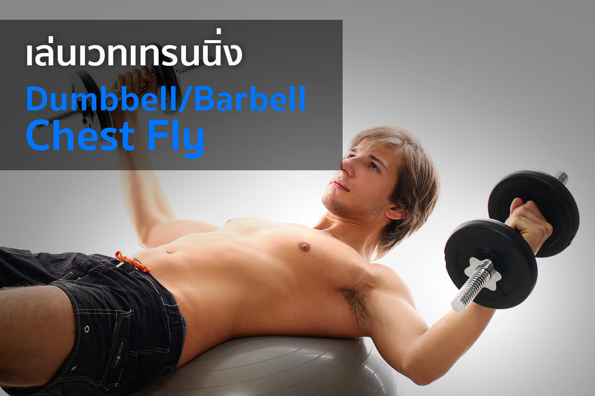 เล่นเวทเทรนนิ่ง (Weight Training) ลดไขมัน แนะนำท่าเพิ่มกล้ามเนื้อแบบ Full Body เล่นเวทเทรนนิ่ง (Weight Training) ลดไขมัน แนะนำท่าเพิ่มกล้ามเนื้อแบบ Full Body