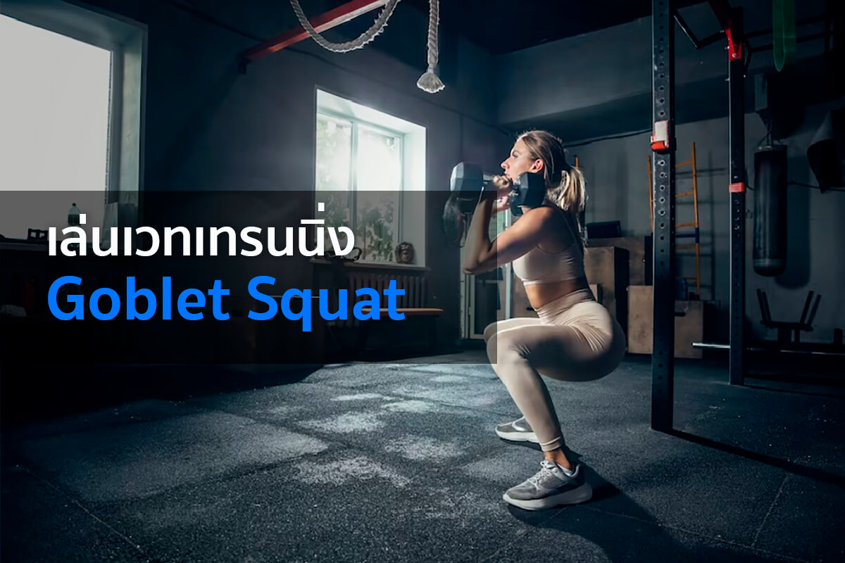 เล่นเวทเทรนนิ่ง (Weight Training) ลดไขมัน แนะนำท่าเพิ่มกล้ามเนื้อแบบ Full Body เล่นเวทเทรนนิ่ง (Weight Training) ลดไขมัน แนะนำท่าเพิ่มกล้ามเนื้อแบบ Full Body