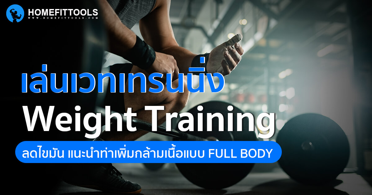 เล่นเวทเทรนนิ่ง (Weight Training) ลดไขมัน แนะนำท่าเพิ่มกล้ามเนื้อแบบ Full  Body