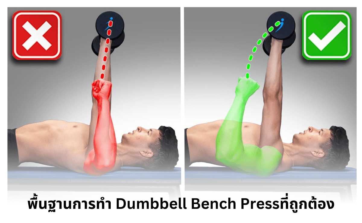พื้นฐานการทำ Dumbbell Bench Press
