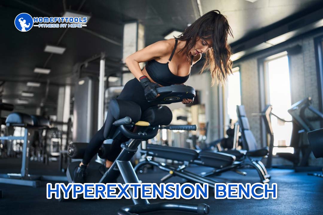 Back Extension Back Extension