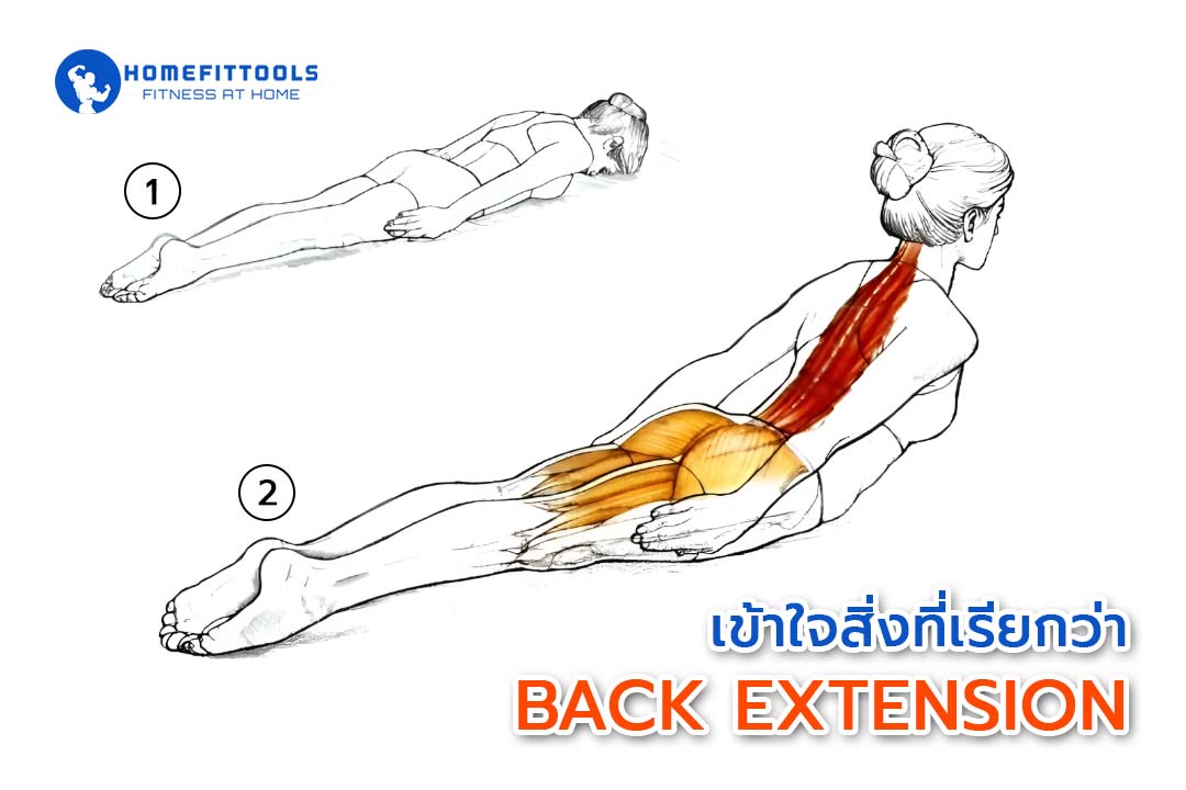 Back Extension Back Extension