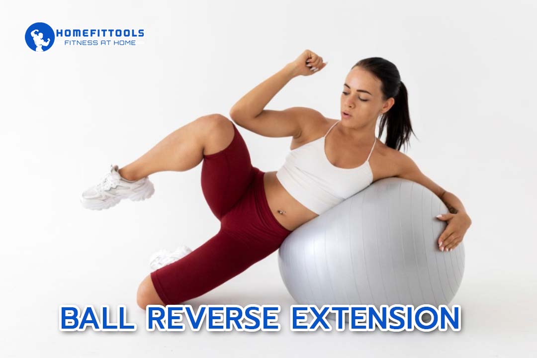 Back Extension Back Extension