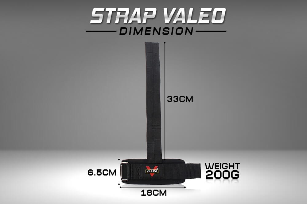 ขนาดของ Straps VALEO อุปกรณ์เสริมบาร์เบล