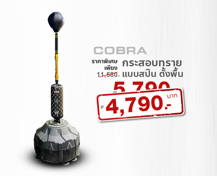 กระสอบทรายแบบสปิน Cobra เป้าชกมวย