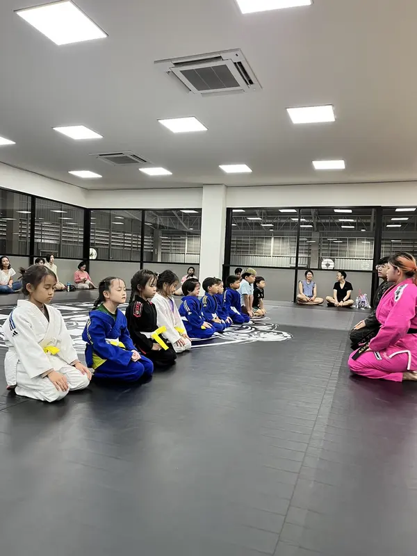img bjj review 2
